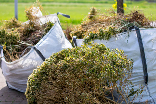Best Professional Junk Removal  in Guadalupe, CA